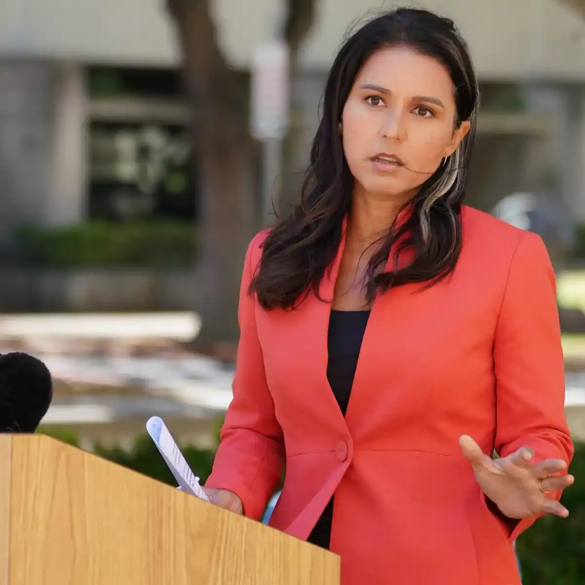 Tulsi Gabbard A Trailblazer in American Politics_