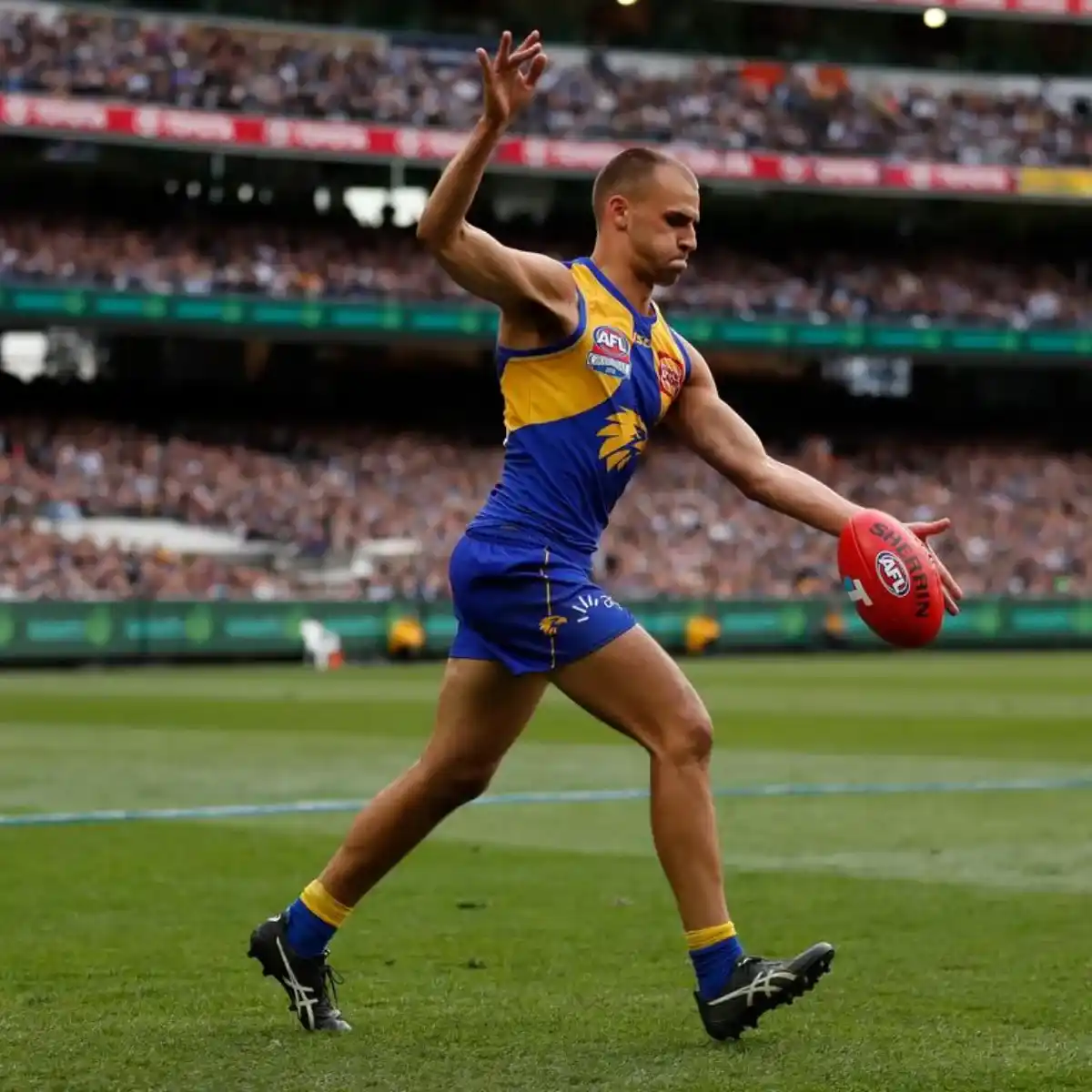 Dom Sheed Games Played_